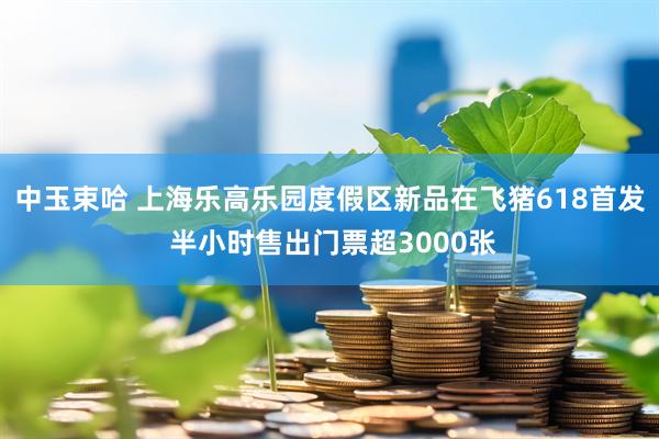 中玉束哈 上海乐高乐园度假区新品在飞猪618首发 半小时售出门票超3000张