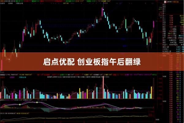 启点优配 创业板指午后翻绿