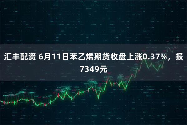 汇丰配资 6月11日苯乙烯期货收盘上涨0.37%，报7349元